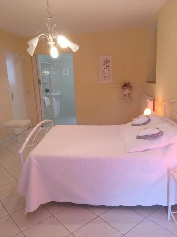 Chambres D'Hotes Du Maspourquet Saint-Santin-Aveyron Ngoại thất bức ảnh